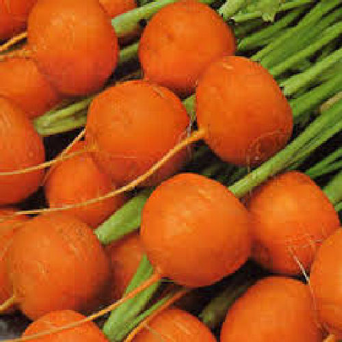 Carrot Paris Market Atlas 1500 Vegetable Seeds