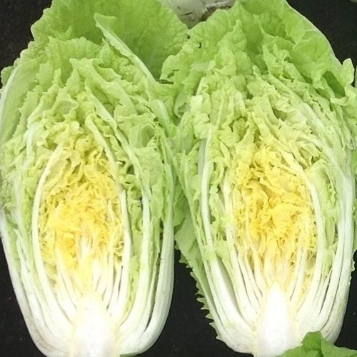Chinese Cabbage 1625 F1 Early Variety 70 Seeds