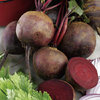 Beetroot Boltardy 2000 (18.7g's) Vegetable Seeds