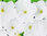 Petunia F1 Mirage White 50 Pellet Flower Seeds