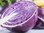 Cabbage Red Mars 450 (1.6g) Vegetable Seeds