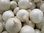 Onion Sets Snowball 250g's Approx 80 - 100 Sets