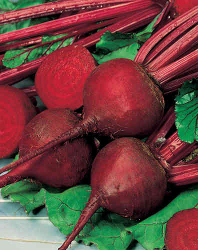 Beetroot Detroit 2 Crimson Globe Vegetable Seeds