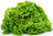Lettuce Maritima 16 Split Pills Vegetable Seeds