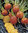 Beetroot Golden Globe Vegetable Seeds