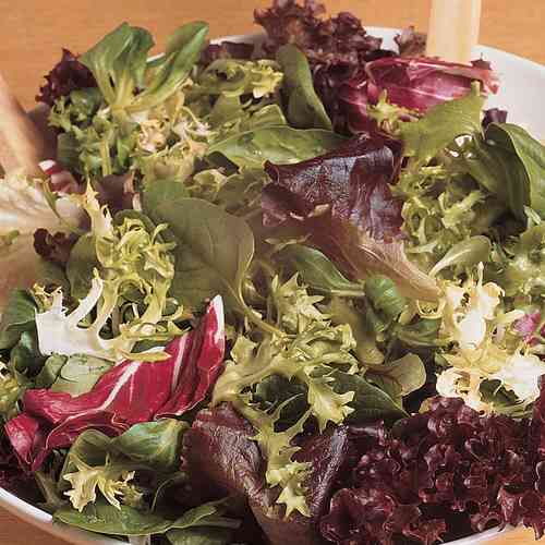 Lettuce BabyLeaf Harvest Blend Salad Mix 860