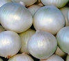 Onion White Sweet Spanish Vegetable Seeds