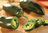 Jalapeno Hot Chili Pepper Vegetable/Fruit Seeds