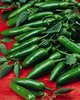 Serrano Hot Chili Pepper 25 Seeds FREE P&amp;P