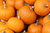 Pumpkin Jack O' Lantern Vegetable Seeds