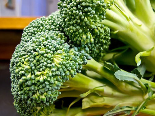 Broccoli Green Sprouting Vegetable Seeds