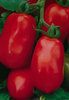 Tomato Roma VF Vegetable Seeds