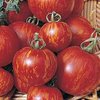 Tomato Tigerella 25 Vegetable Seeds
