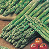 Asparagus Connovers Colossal Vegetable Seeds