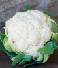 Cauliflower Snowball X 60 Vegetable Seeds