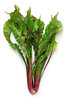 Chicory Italiko Rosso BabyLeaf Vegetable Seeds
