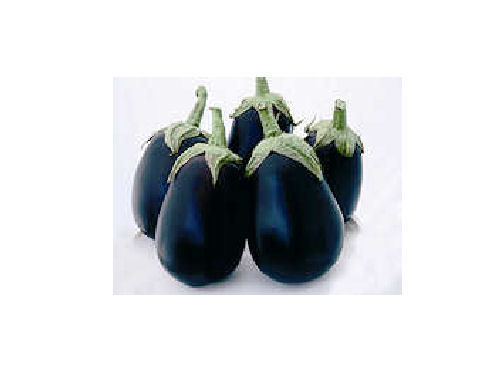 8 x Aubergine F1 Giotto Vegetable Seeds