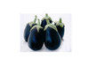 8 x Aubergine F1 Giotto Vegetable Seeds