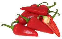 Peppers Hot Chilli