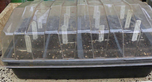 Propagator Lids for Standard Full Size Seed Tray