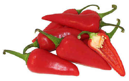 Fresno Super Hot Chili Pepper Fruit/Veg Seeds