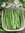 Runner Bean Moonlight 100 Vegetable Seeds