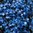 Lobelia (Trailing) Blue Fountains Flower Seeds