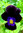 Viola Sawyers Black Perennial Flower Seeds