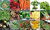 15 Packs of Vegetable Seeds SWEDE CARROT PEPPER