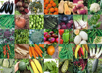 Multi Variety Vegetable Packs