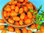 Cherry/Plum Tomato Collection 6 Seed Varieties
