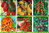 Cherry/Plum Tomato Collection 6 Seed Varieties