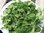 Spinach Trombone F1 150 (1.66g) Vegetable Seeds