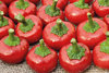 Pepper Hot Chilli  - Cherry Bomb (15) Seeds