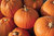 Tom Fox Pumpkin Vegetable/Fruit Seeds