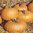 Tom Fox Pumpkin Vegetable/Fruit Seeds