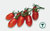 3 x Tomato Floridity F1 Plug Plants