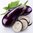 3x Aubergine Black Beauty Plug Plants A: Solanum melongena B:130327 C: 7509080 D: GB