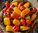 Lunch Box Mixed Mini Sweet Pepper Seeds