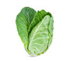 12 x Cabbage Greyhound Pointed Heads Plug Plants A: Brassica oleracea B: 130327 C: 7509041 D: GB