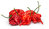 Hot Chilli Pepper Carolina Reaper Fruit/Veg Seed